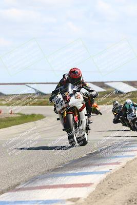 media/Mar-23-2025-TrackDaz (Sun) [[88a7749186]]/A Group/12pm (Wheelie Bump)/